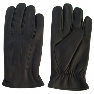 Dressing Gloves 