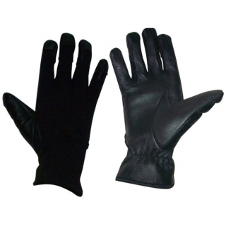 Police & Armi Gloves